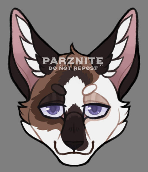 OC Headshot OC Headshot